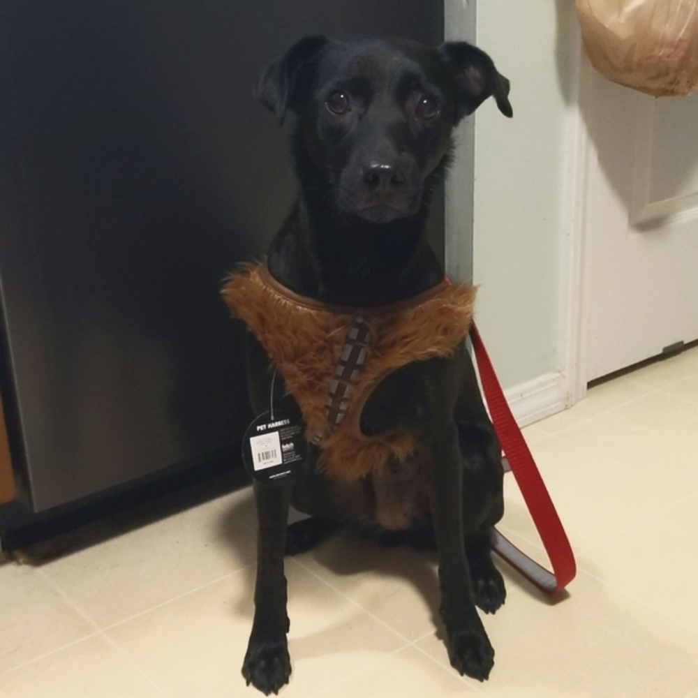 NWT - Star Wars Chewbacca Dog Harness Size M
